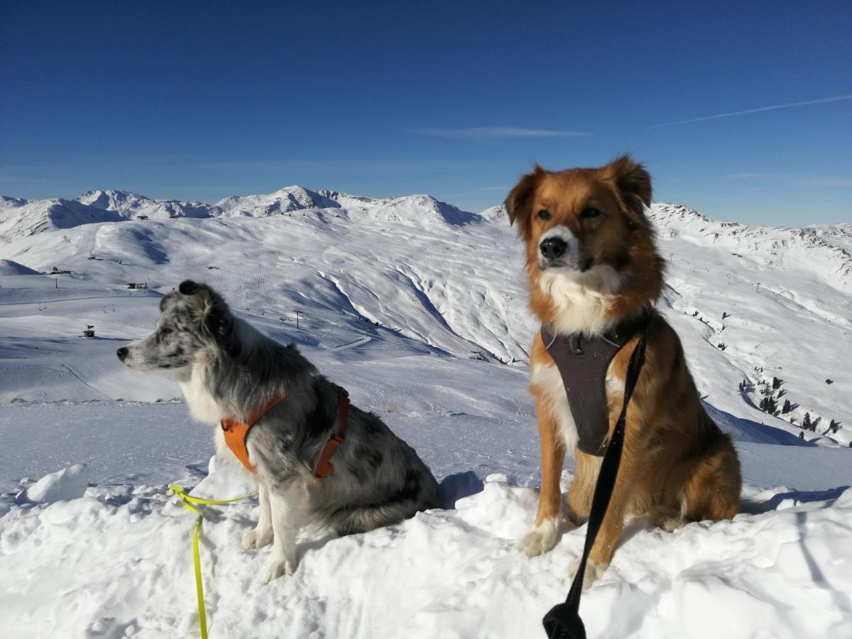 Apartment Hohe Tauern Bramberg am Wildkogel Luaran gambar